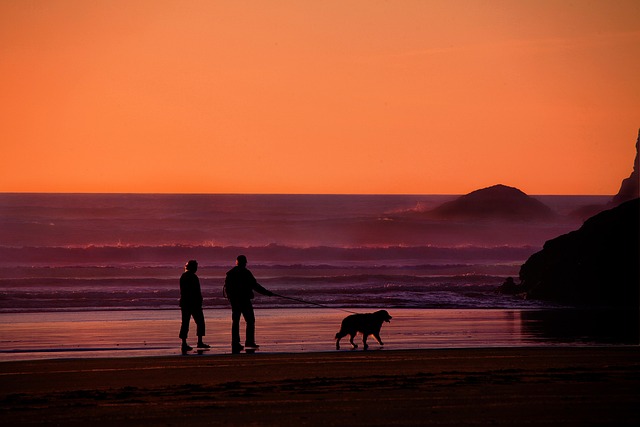 retired couple walking on beach at sunset representing financial independence and freedom